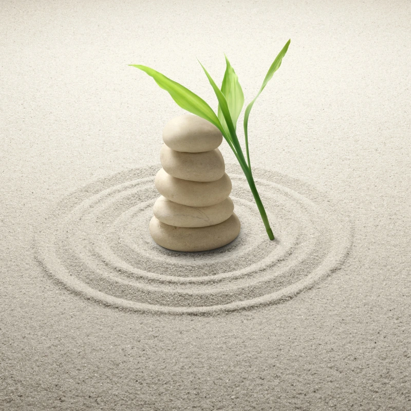 Exercise for Enhancing Inner Balance